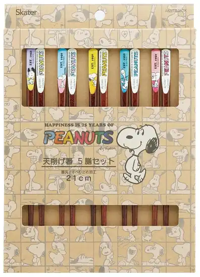 【69％OFF】スケーター 天削げ 箸 はし お箸 21cm 箱入り 5膳 10本セット PEANUTS 75th ANNTS4BOX 1366円！