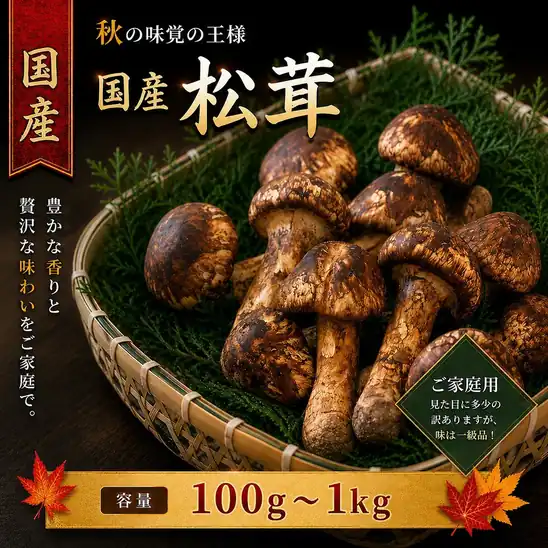【楽天ポイントも付いてお得】9,800円～ 送料無料～ 楽天市場 国産 松茸 訳あり 家庭用 100g 200g 300g 400g 500g 1kg 国産(長野県 他) マツタケ まつたけ 2026.10.19時点