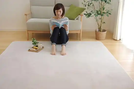 【64％OFF】ケヒコ ラグ カーペット 4畳 無地 ピオニー 約200×300cm アイボリー 2685円！