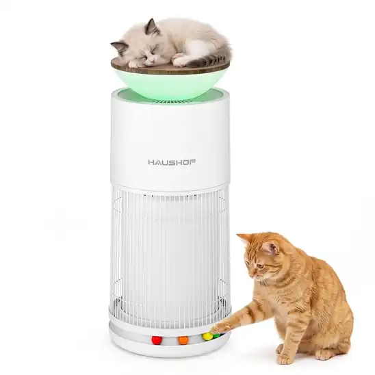 【タイムセールで26%OFF】19,930円 送料無料 Amazon HAUSHOF 空気清浄機 27畳 空気浄化 側面360°全方向吸気・上部クリーン送風 リアルタイム検知機能付き H13 HEPA フィルター 2026.10.28まで