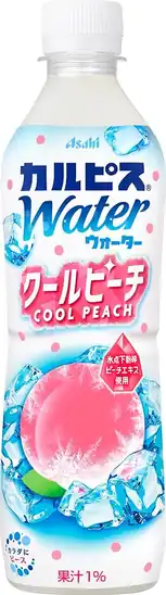■【訳アリ品：12月31日賞味】カルピスウォーター クールピーチ 490ml×24本 1,560円