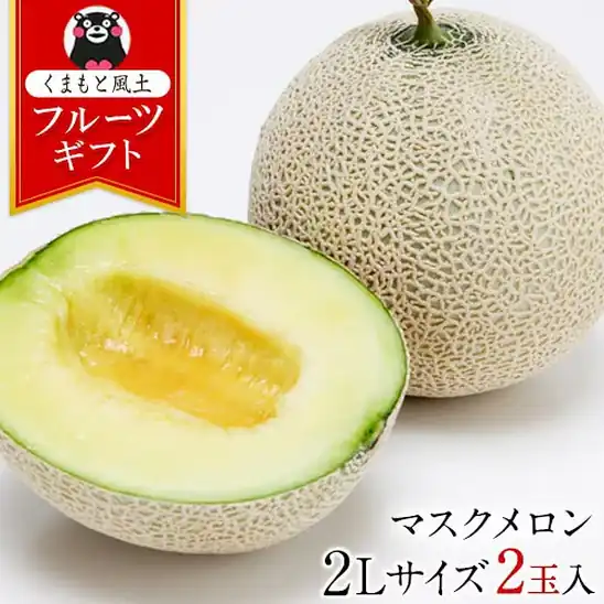 【20時・先着100名】くまもと風土 九州産マスクメロン 秀品 2Lサイズ 1.2kg以上×2玉 送料込3,990円(1,995円/玉)