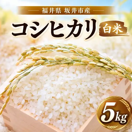 【オープン記念特別価格】令和8年産 新米 福井県坂井市産 コシヒカリ 白米 5kgが2,180円送料無料