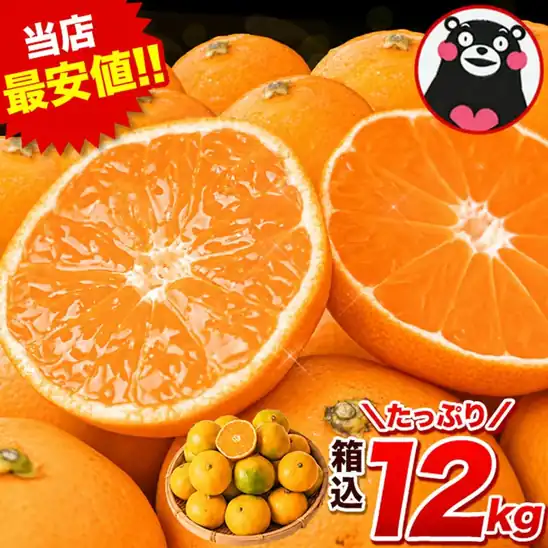 【楽天ポイントも付いてお得】3,280円 送料無料～ 楽天市場 熊本みかん 大容量 まとめ買い支援 訳あり みかん 12kg 規格外 大玉 小玉 不選別 家庭用 柑橘 フルーツ 果物 熊本 熊本県産 2026.10.27時点