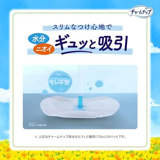 【10】【大入数】チャームナップ 吸水さらフィ 安心の少量用 消臭 無香料 羽なし 30cc 23cm 80枚入（尿 吸収ナプキン 尿もれパッド ナプキンサイズ）【軽い尿もれの方】