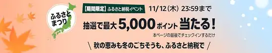 Amazonふるさと納税イベント 抽選で最大5,000ポイントが当たる【2026年最新】