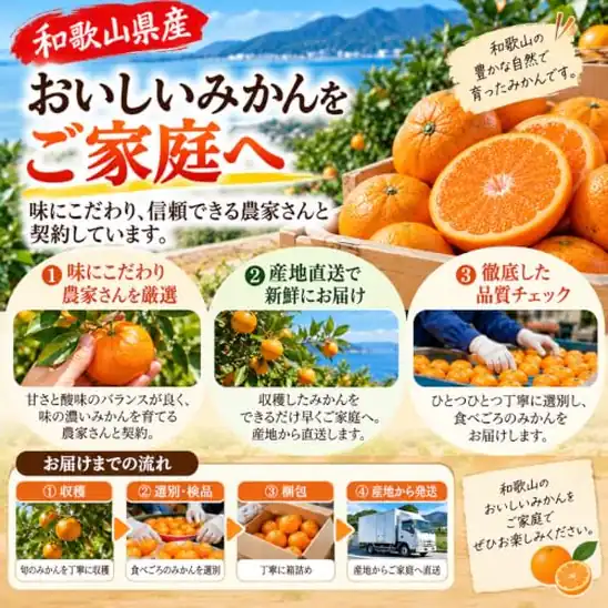 [MoNoIRu] 和歌山みかん 蔵出しみかん 和歌山県産 訳あり 家庭用 果物 フルーツ 箱 お歳暮 誕生日 お祝い ギフト プレゼント (ご家庭用 S〜L混合、3kg）